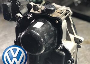 חידוש מוח גיר