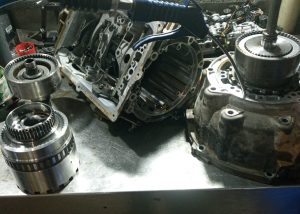 גיר סאן יאנג